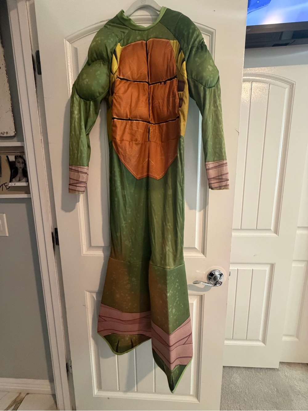 Nickelodeon Green and Brown Turtle Hero Costume